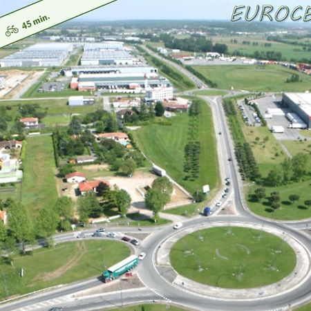 Le Cosy Eurocentre ► Terrasse ► Parking ► Wifi ► 24/24 Lejlighed Castelnau-dʼEstrétefonds Eksteriør billede